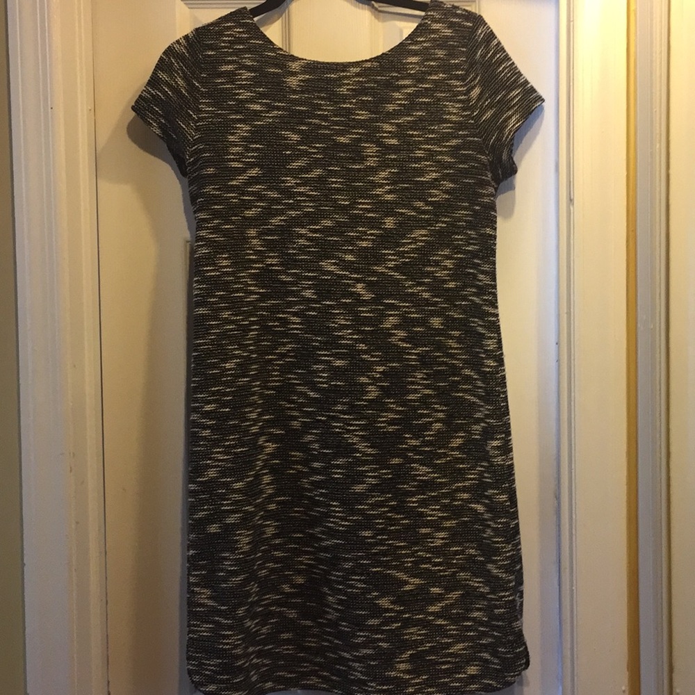 Women’s Dress from Loft